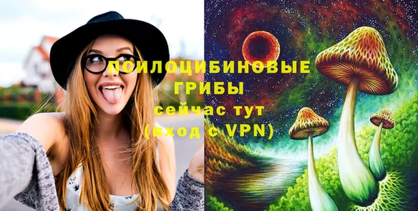 СК Семикаракорск