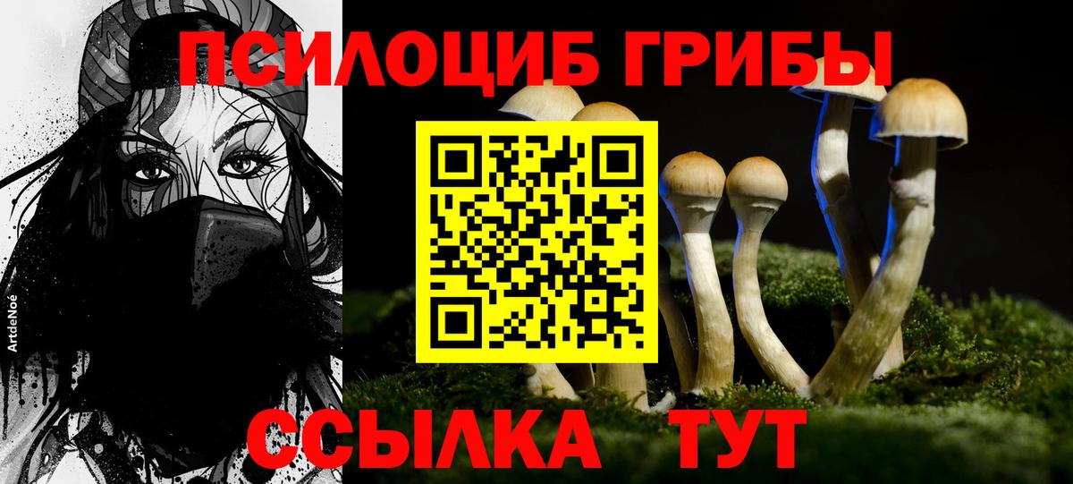 Псилоцибиновые грибы ЛСД  Галлюциногенные грибы Cubensis  Рузаевка  Вход с VPN 