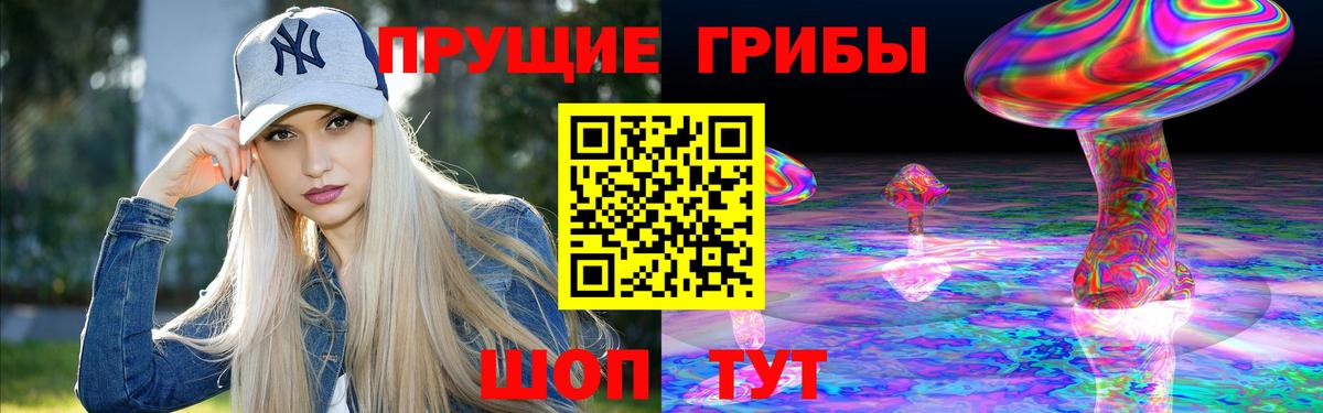 Псилоцибиновые грибы Psilocybine cubensis Рузаевка